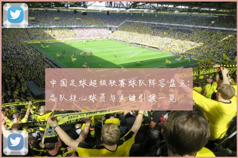 中国足球超级联赛球队阵容盘点：各队核心球员与关键引援一览